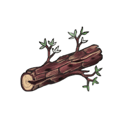 Coarse Yew Log