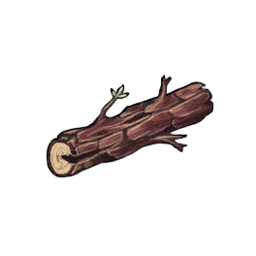 Rugged Yew Log