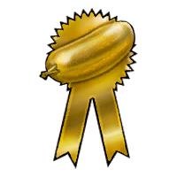 1st Place